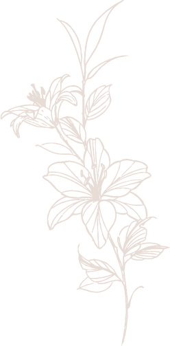 Illustration florale
